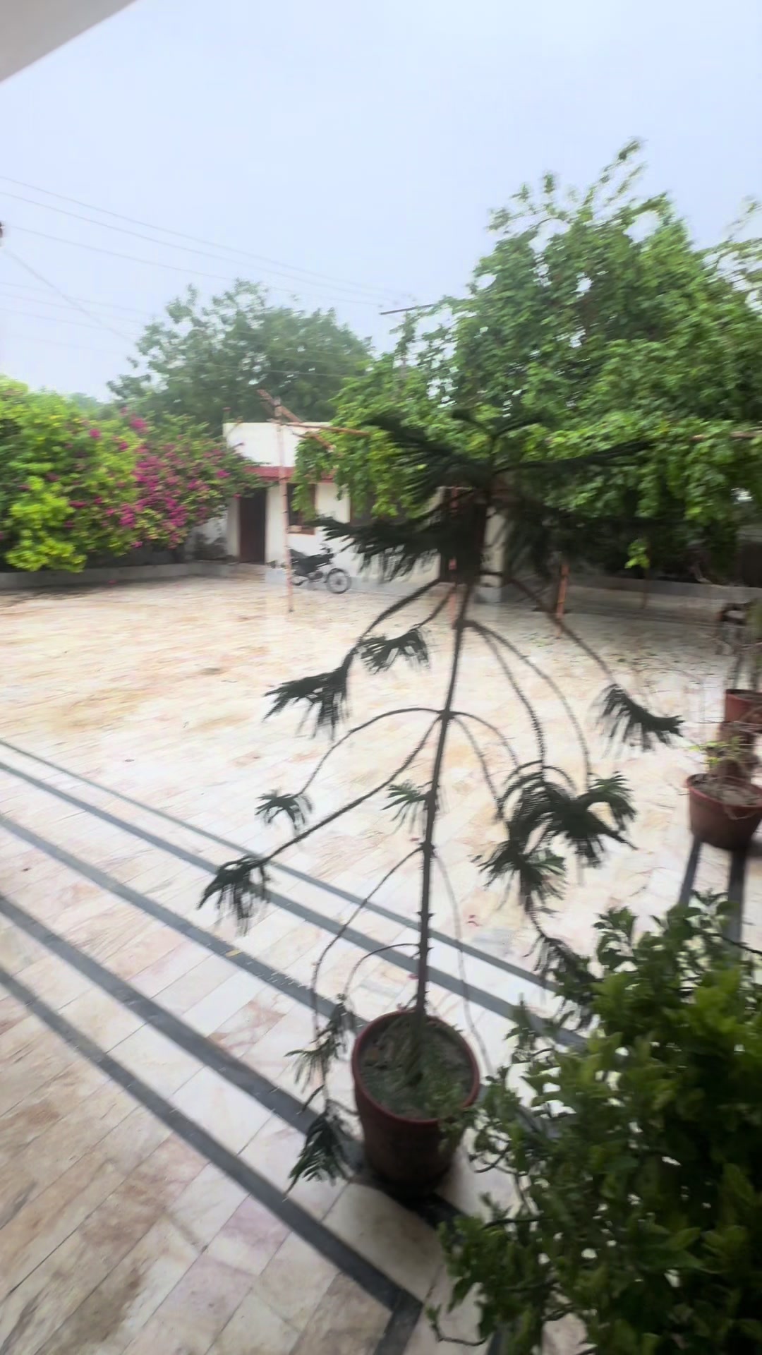 @Hur Jamal Mahar