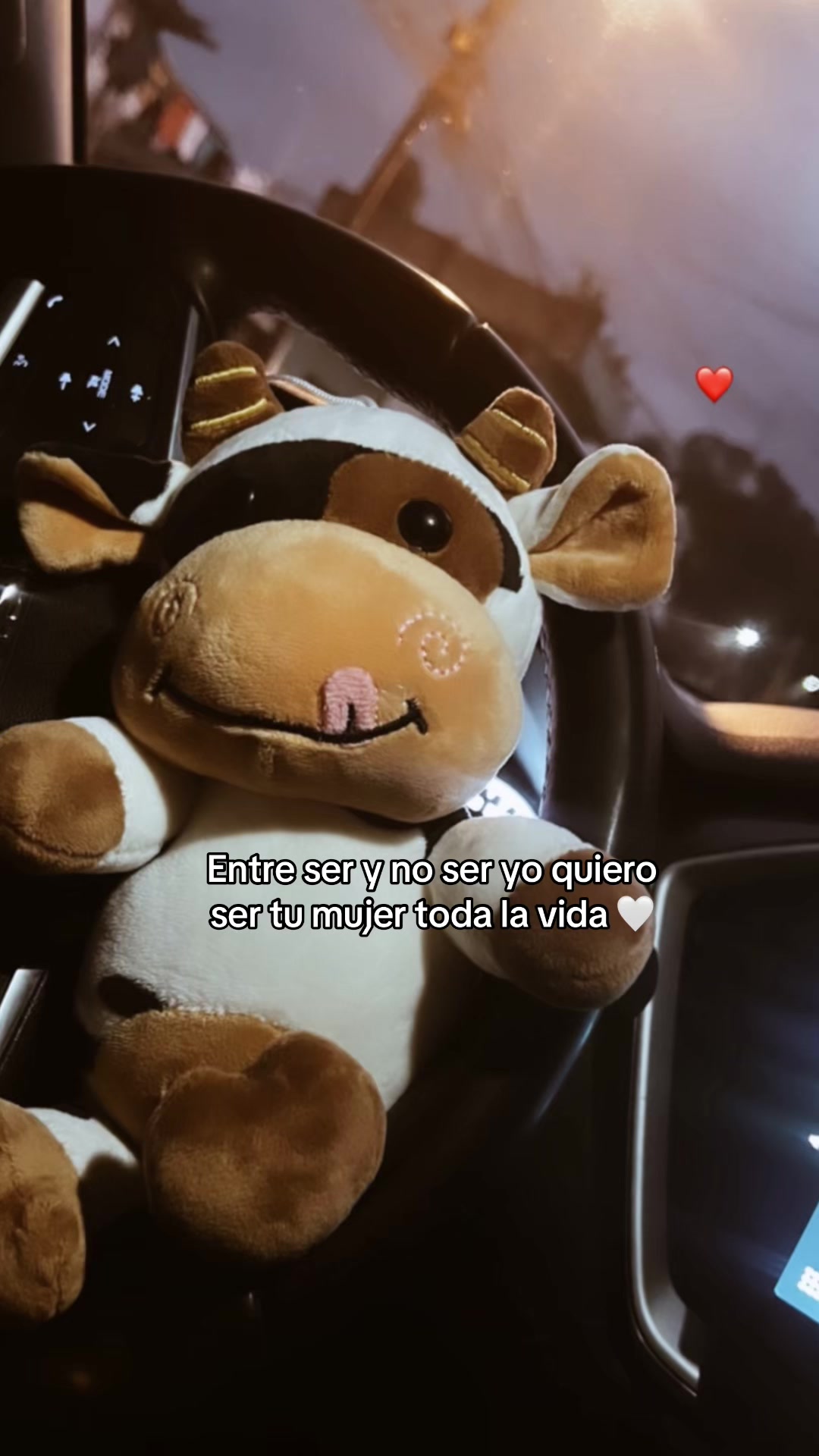 @kimi.h0