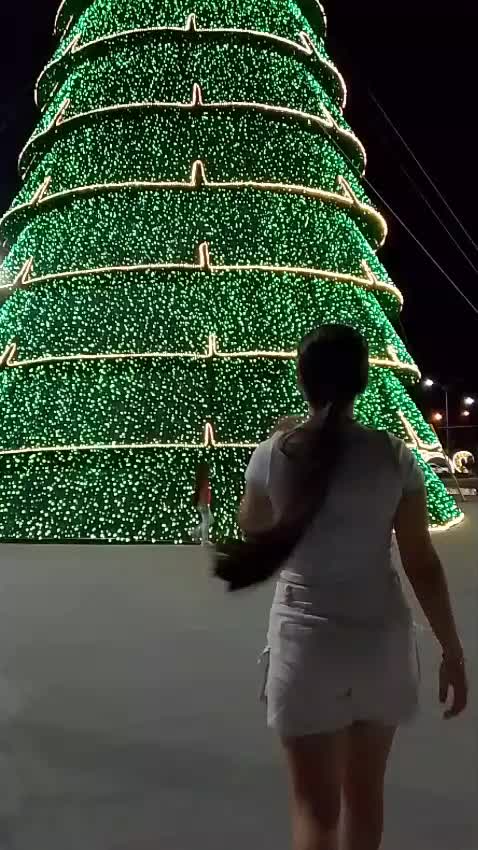 @nelcirajeneski