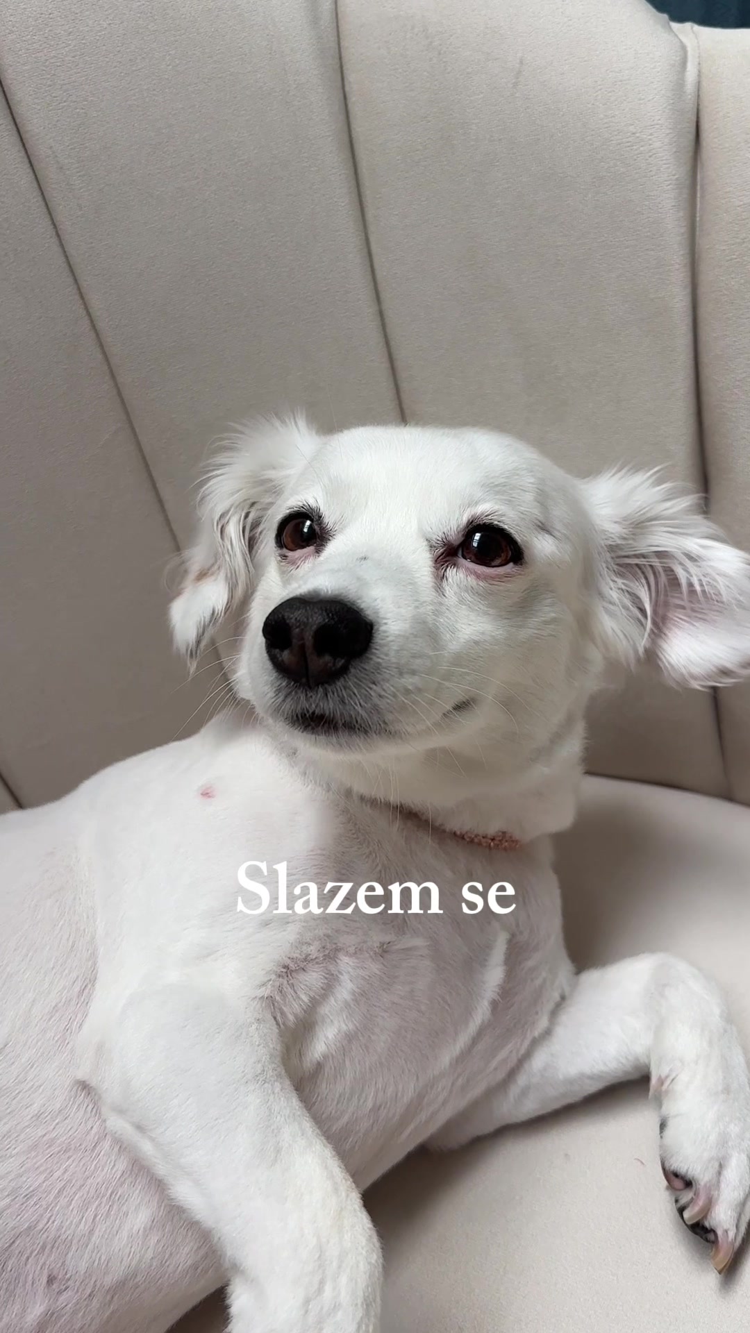 @Lea Stankovic