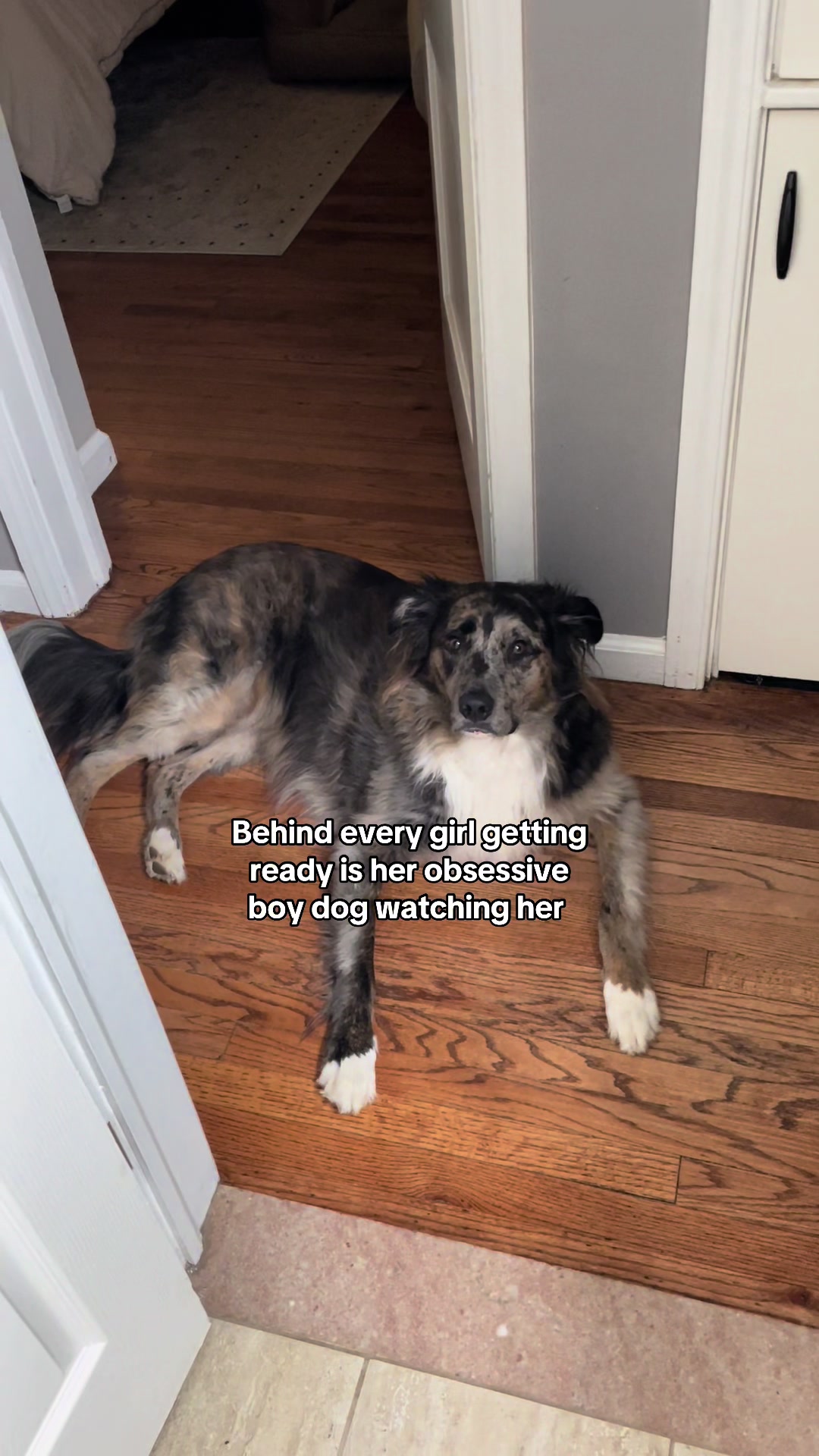 @THE LIFE OF KODA