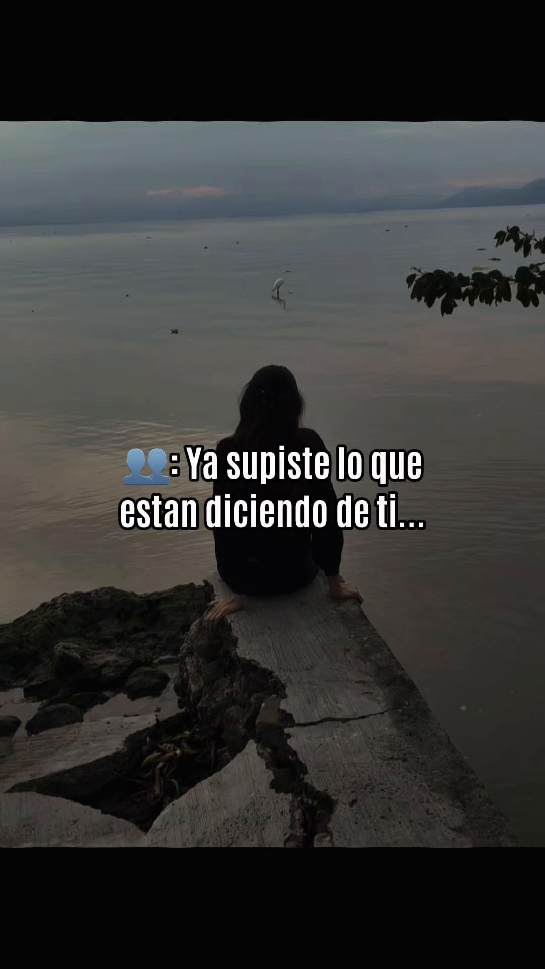 @aleyda vidriales ramos