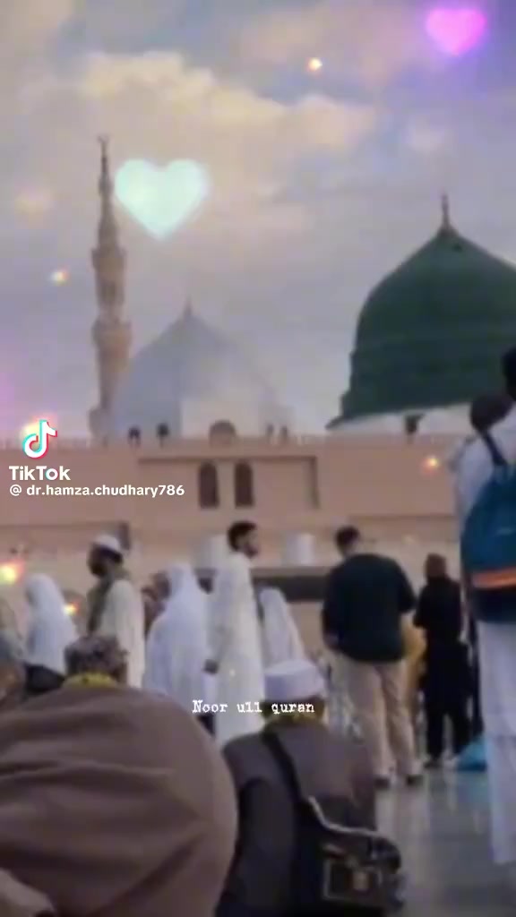 @amanataliali7292