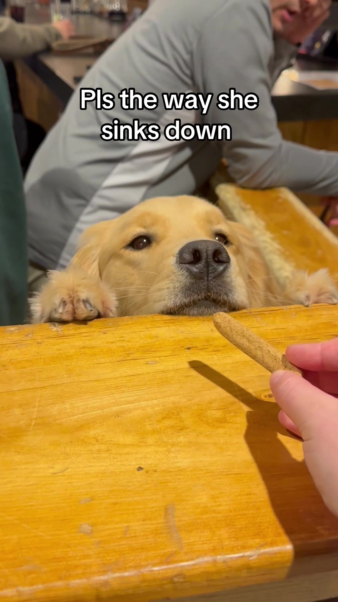 @Winter the Golden