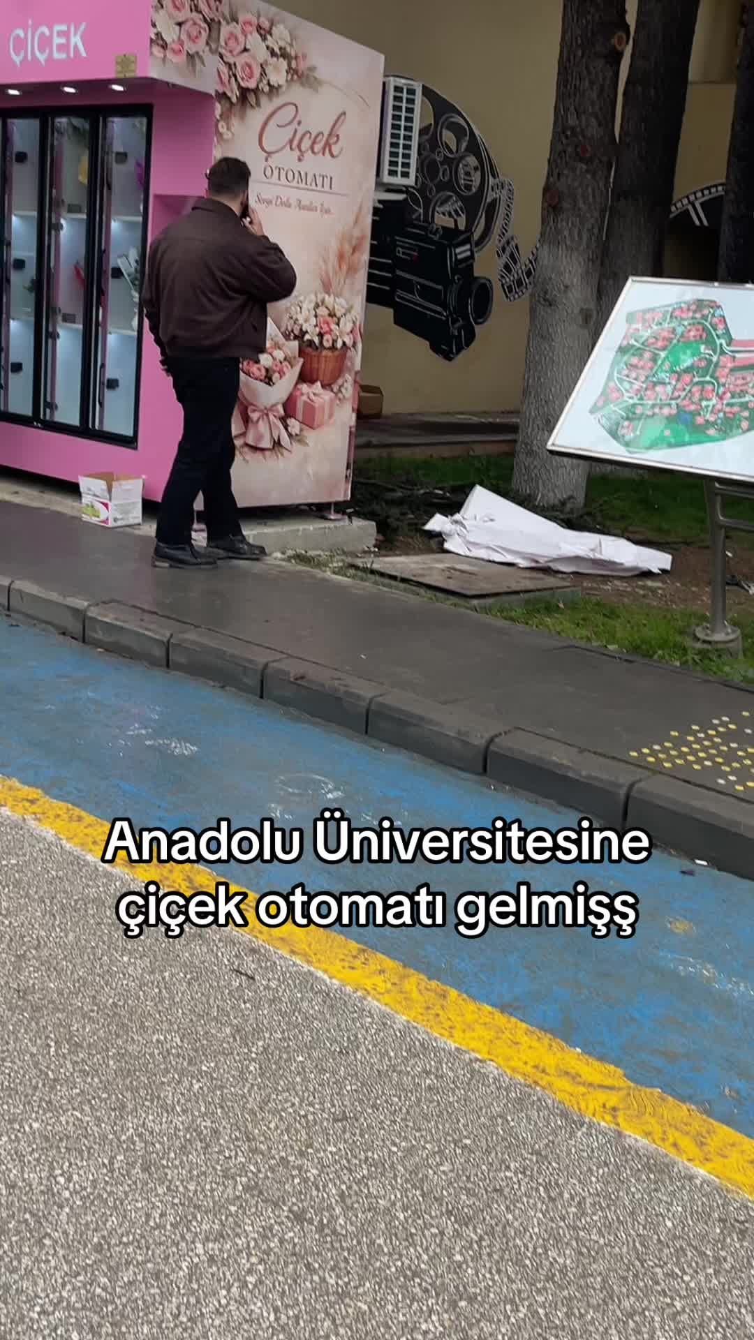 @lügeşyA