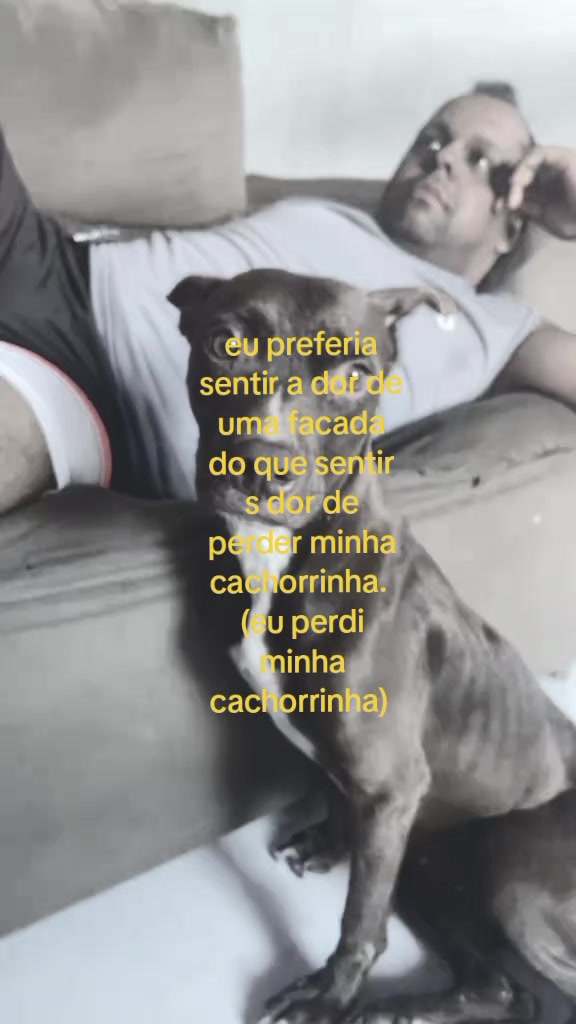 @llya boboca