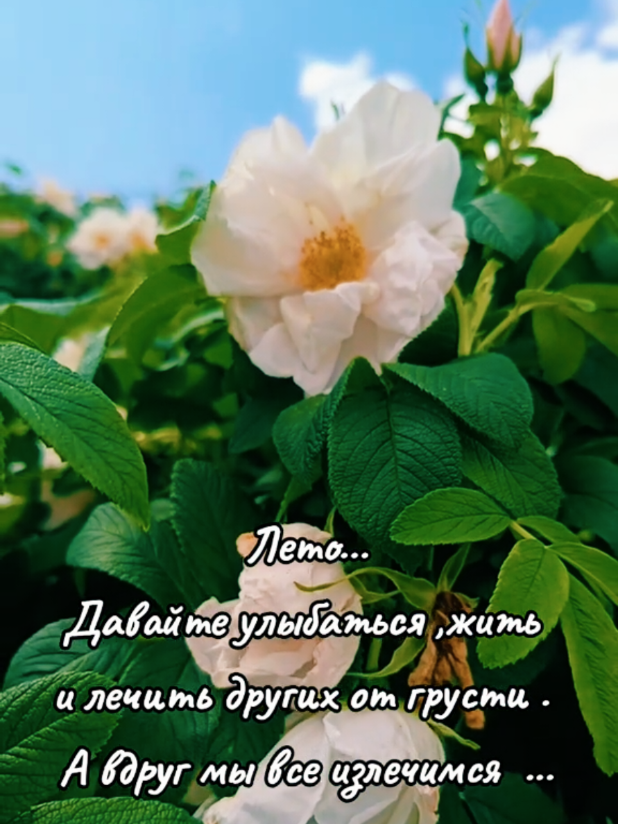 @Марина 🌹