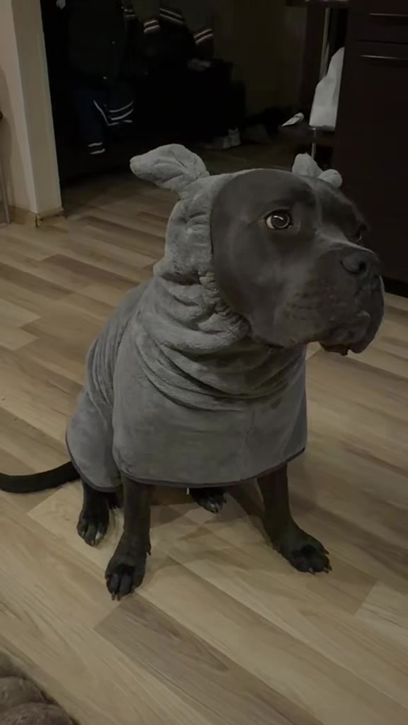 @ЗУЛУ