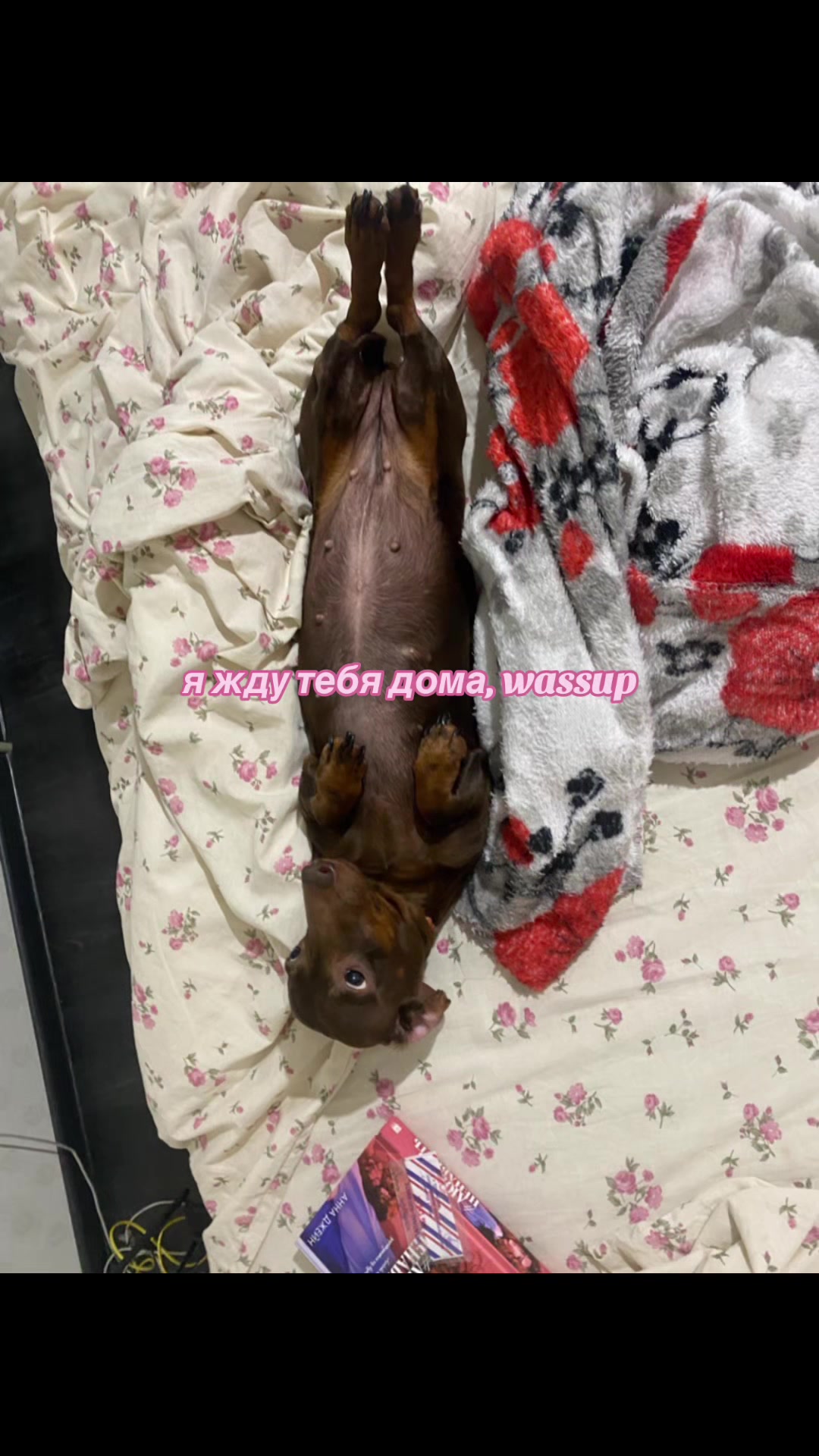 @аришуля