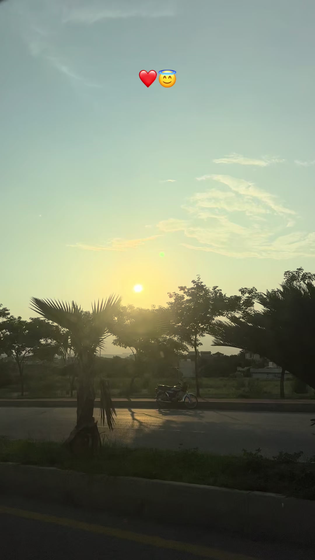 @Saba Rani | Cinematographer
