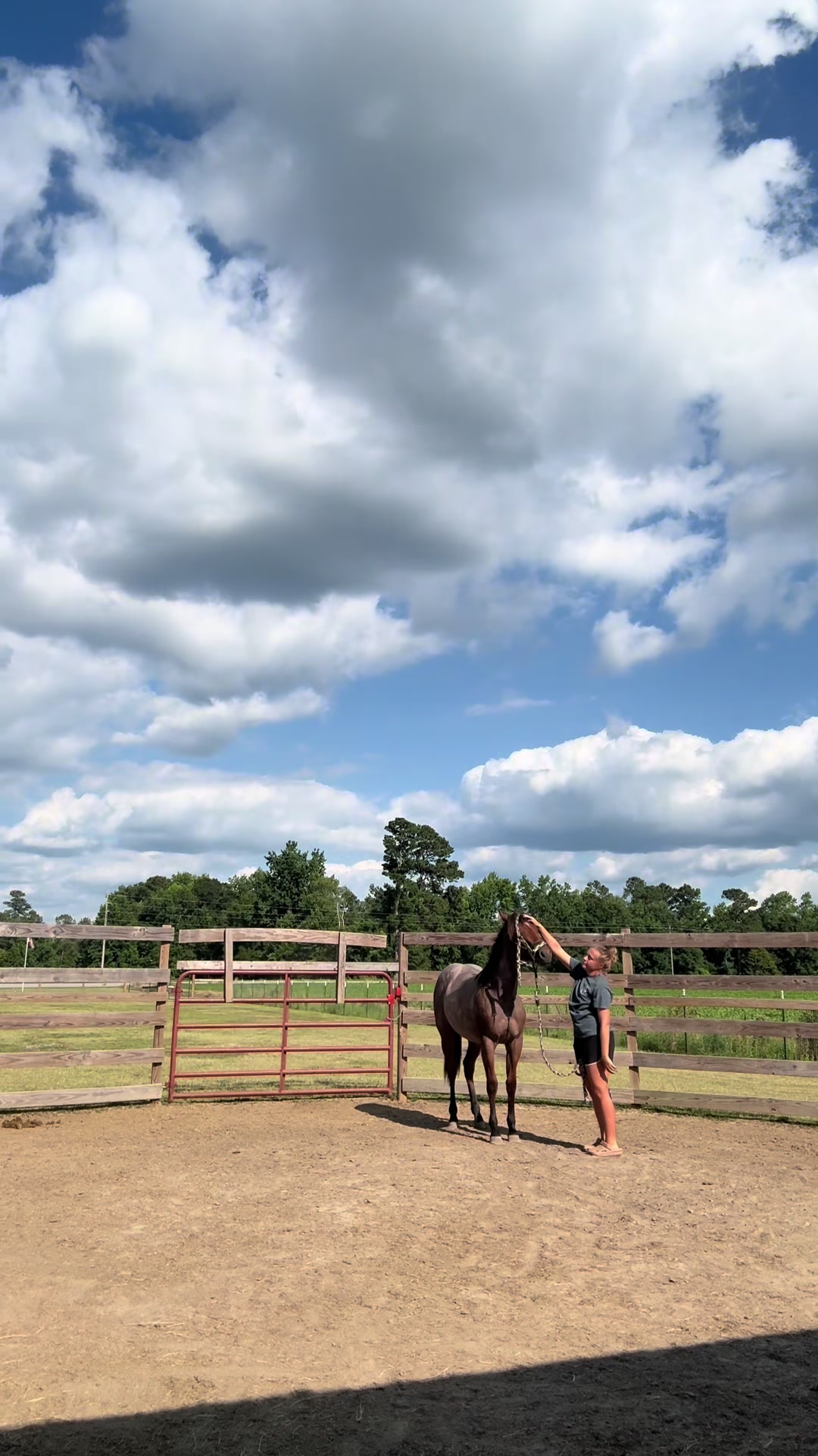 @Peppermint Pines Farm