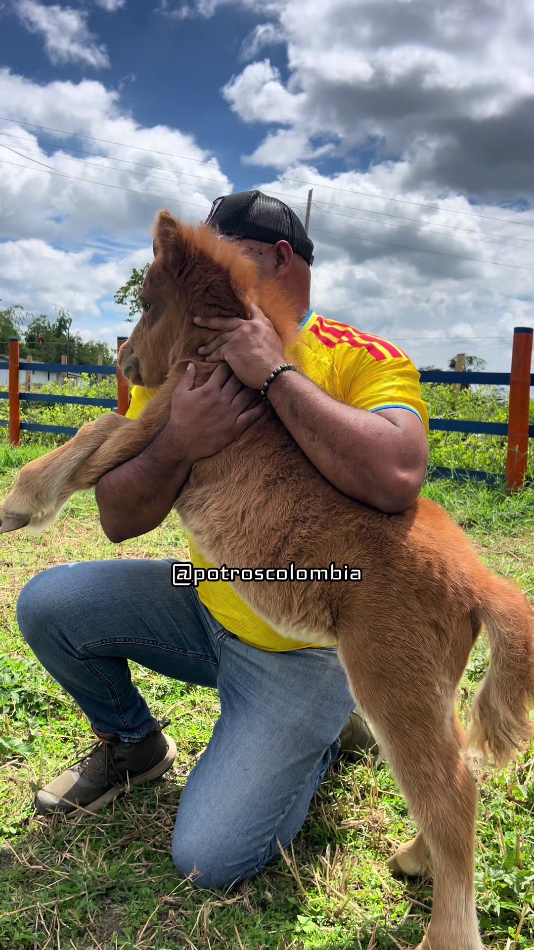 @Potros Colombia