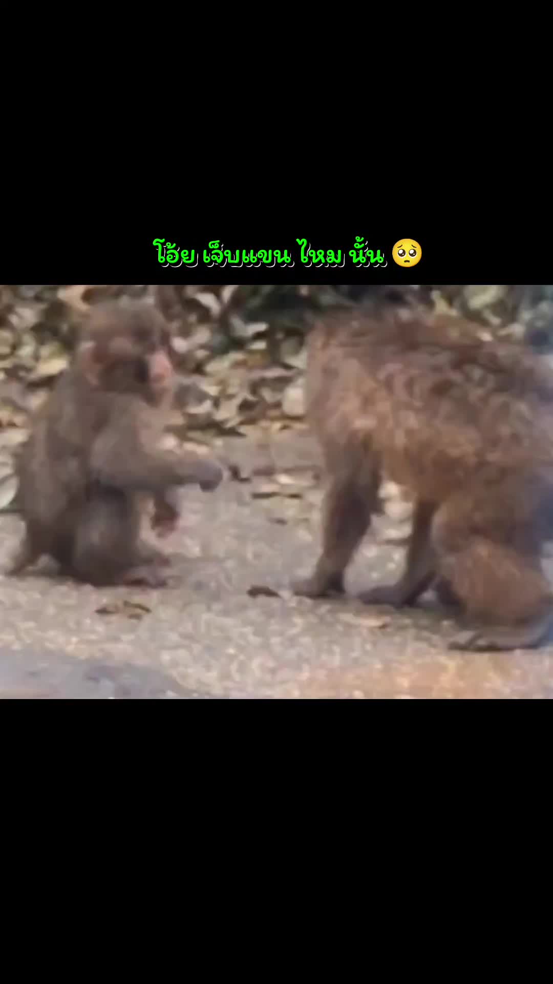 @Chaya 25
