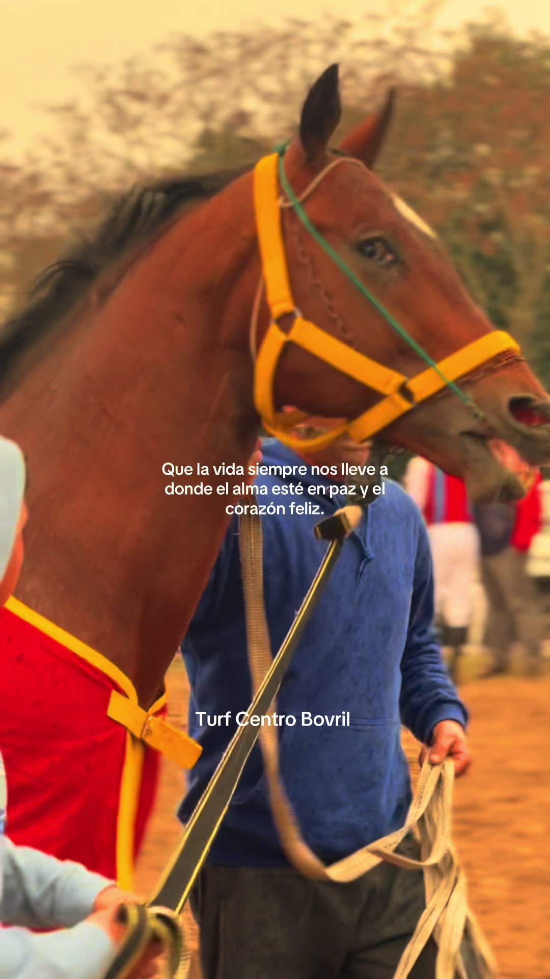@TURF CENTRO BOVRIL