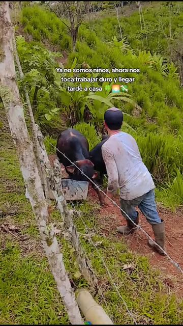 @tu t&oacute;xica