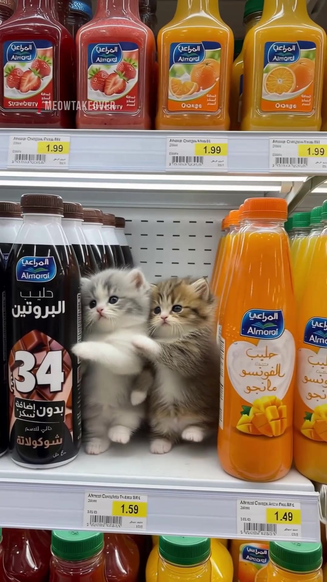 @meowtakeover