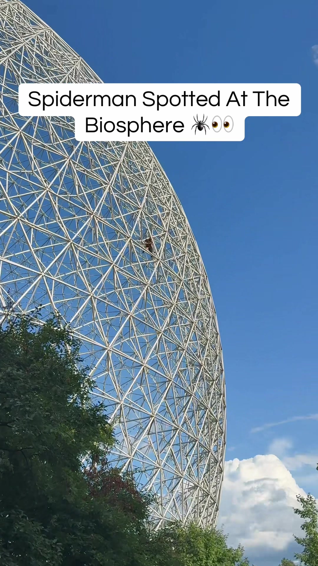@Montreal Only