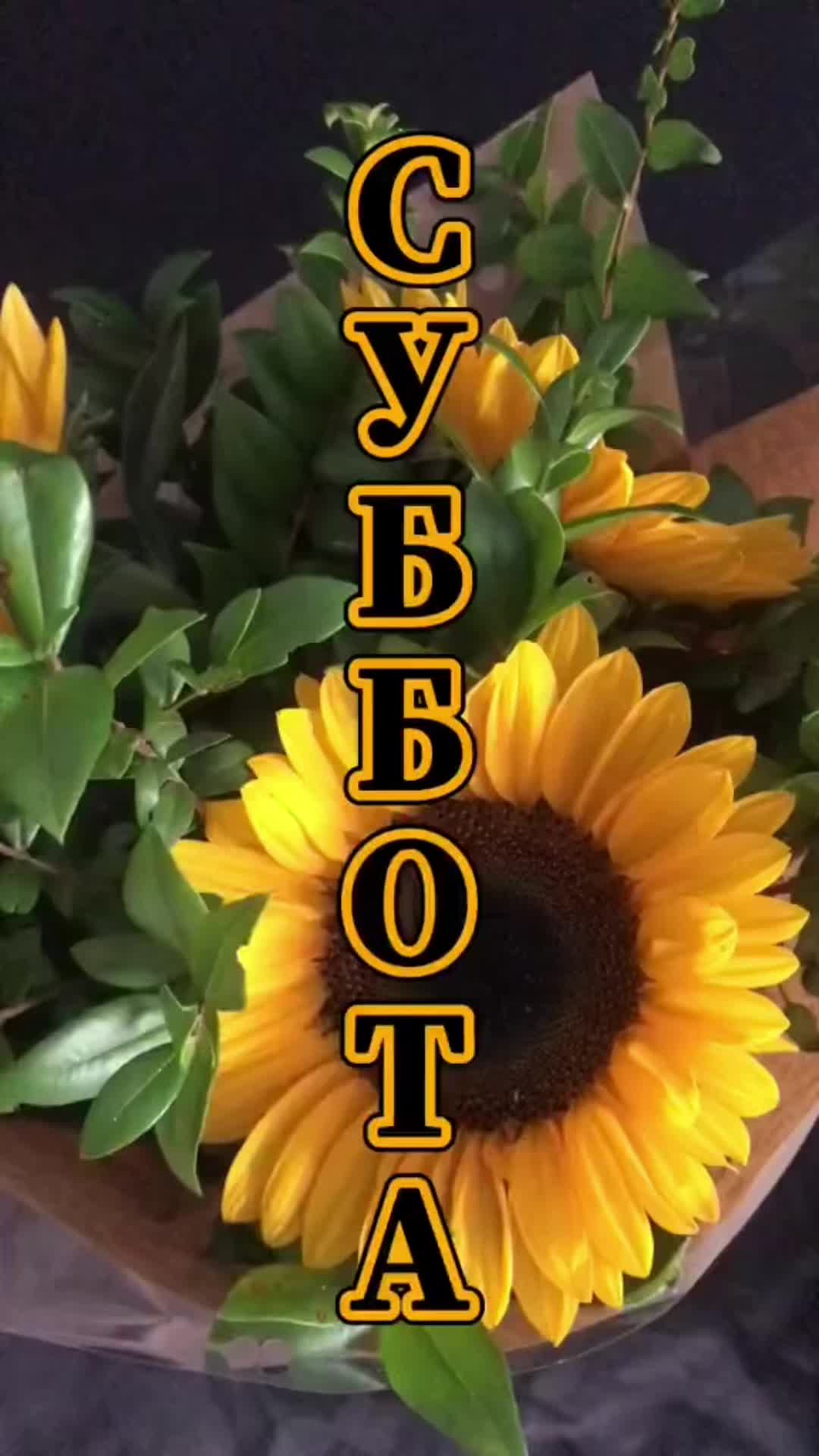 @ValentinKa