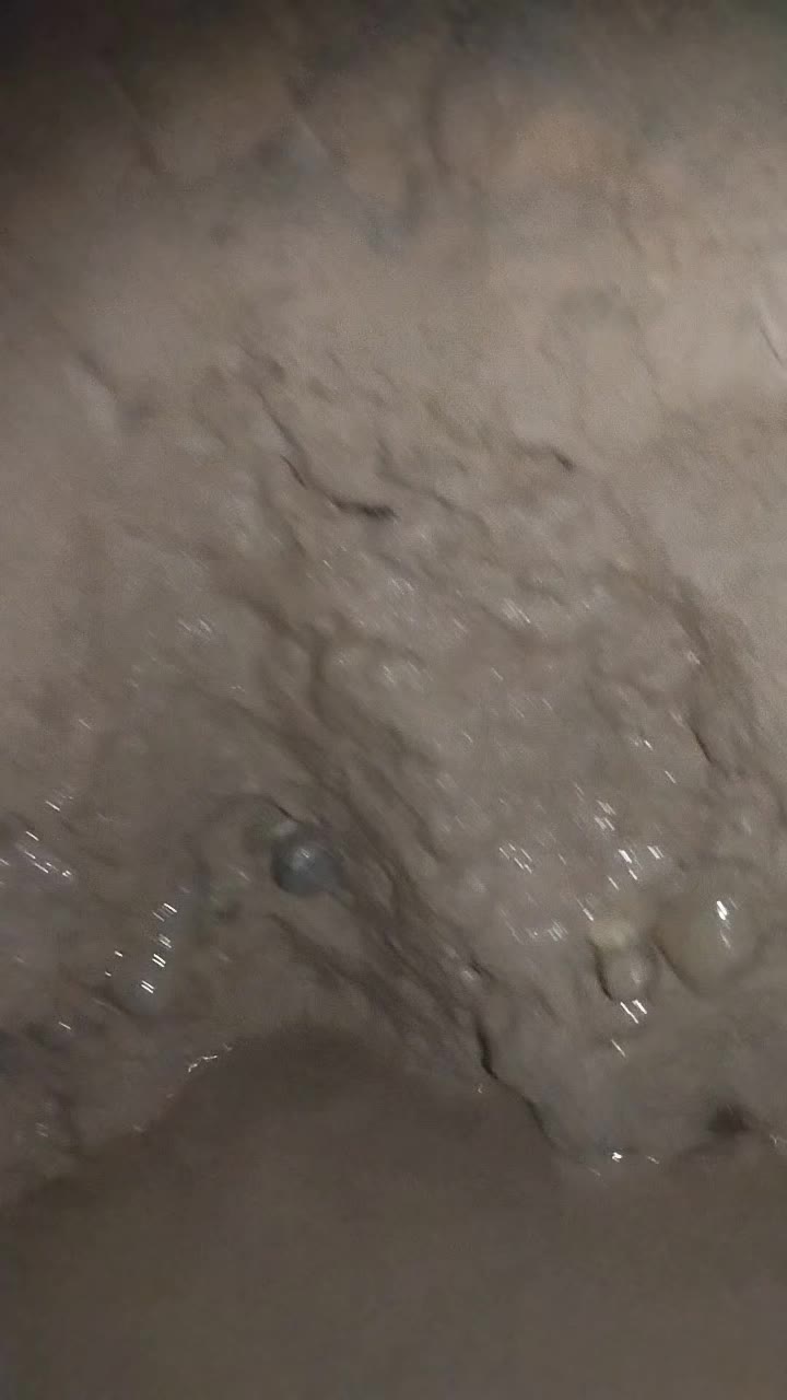 @عيد تعيلب