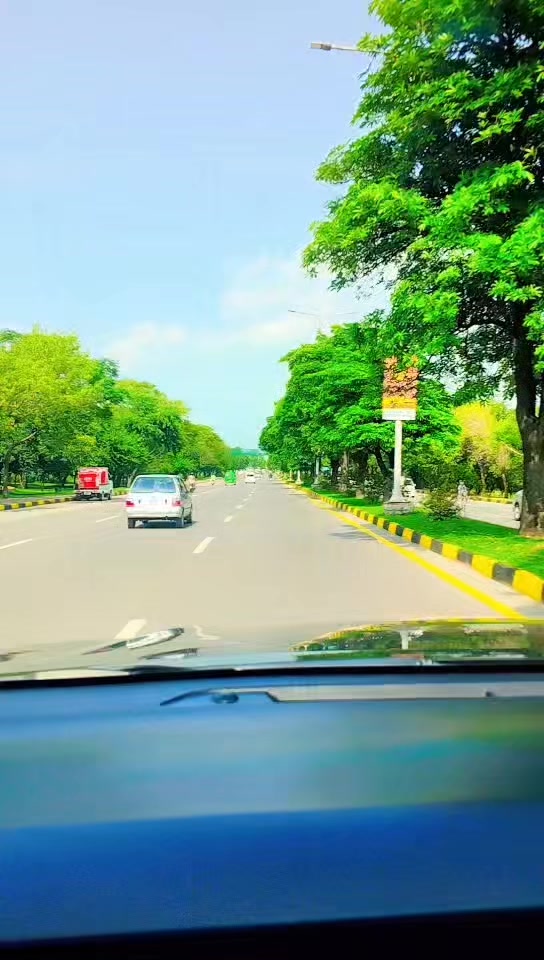 @Samoo Abbasi 313