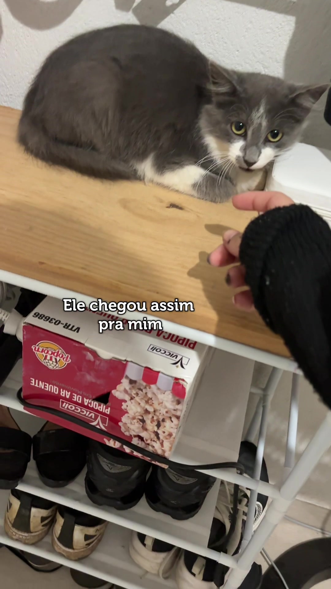 @sushasco