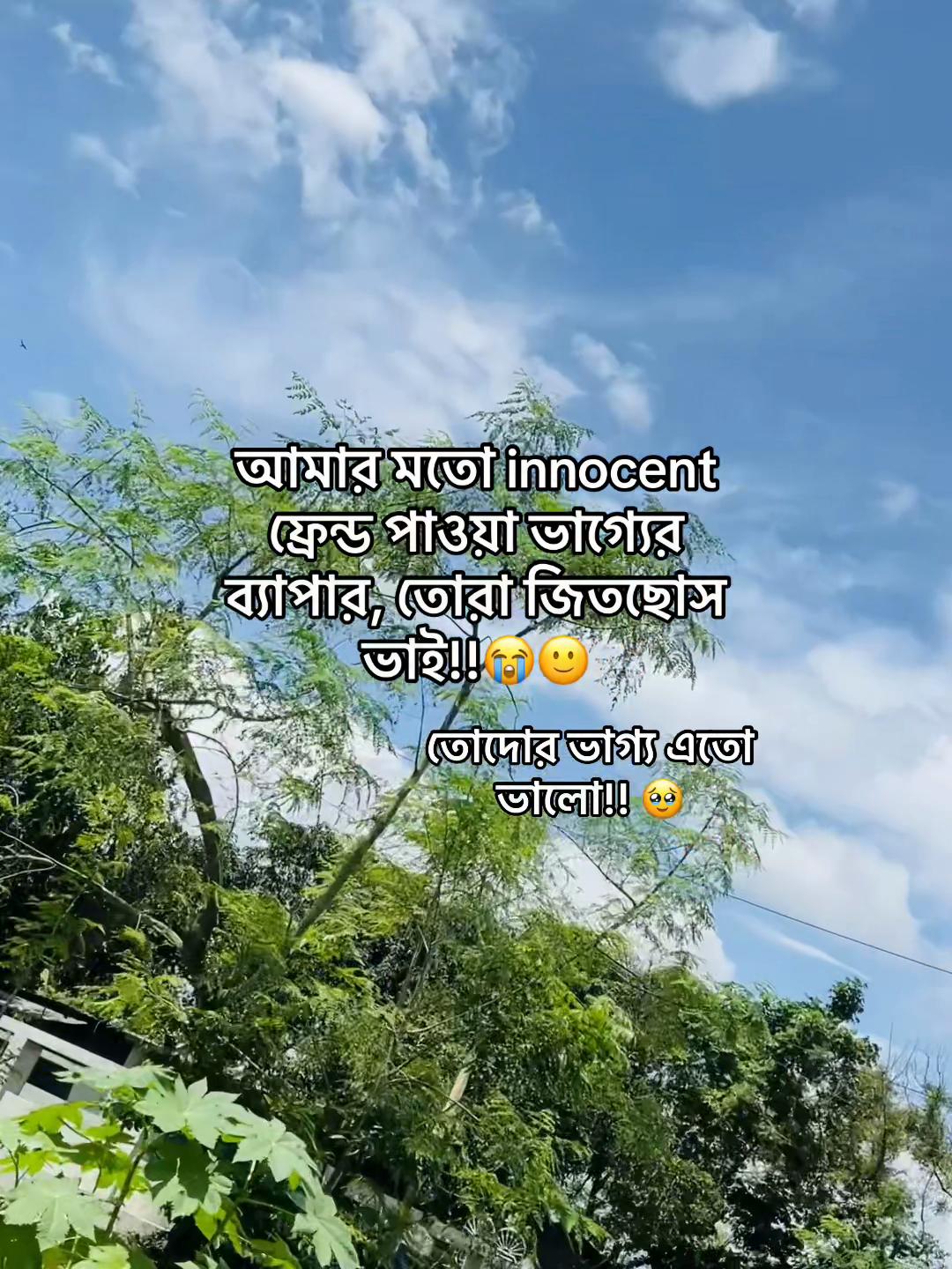 @টিক-টিকি