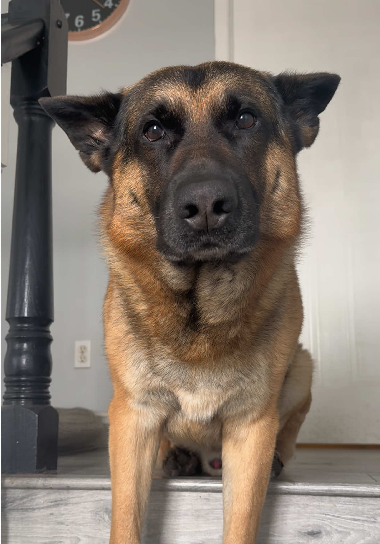 @Martygsd