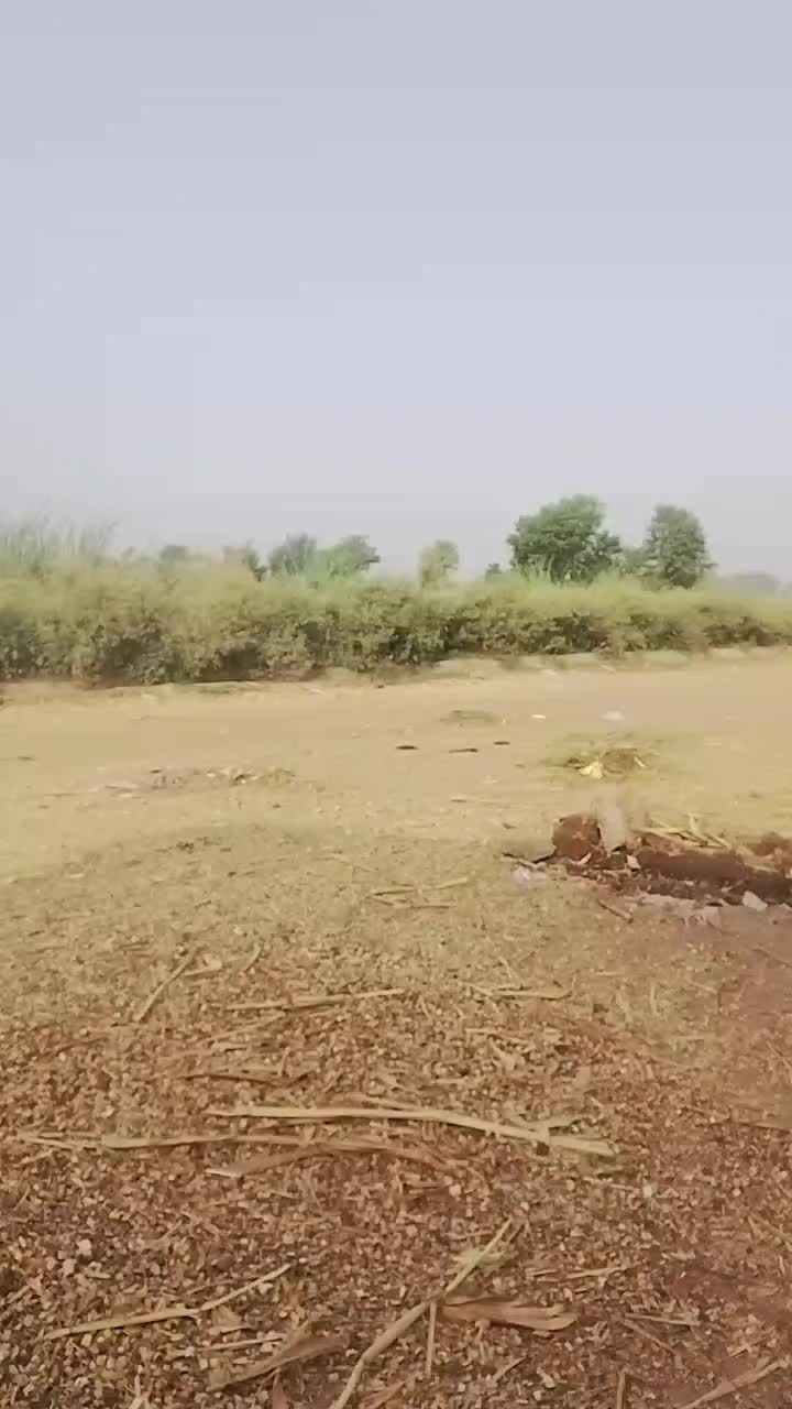@yasir kakhor