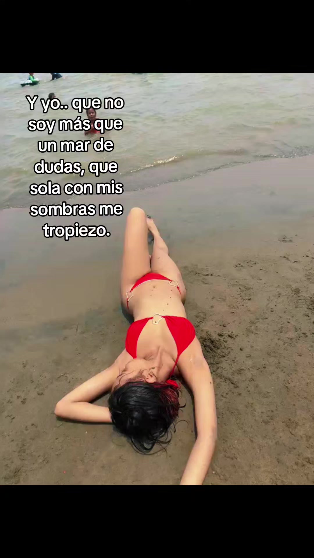 @carolaymichelld