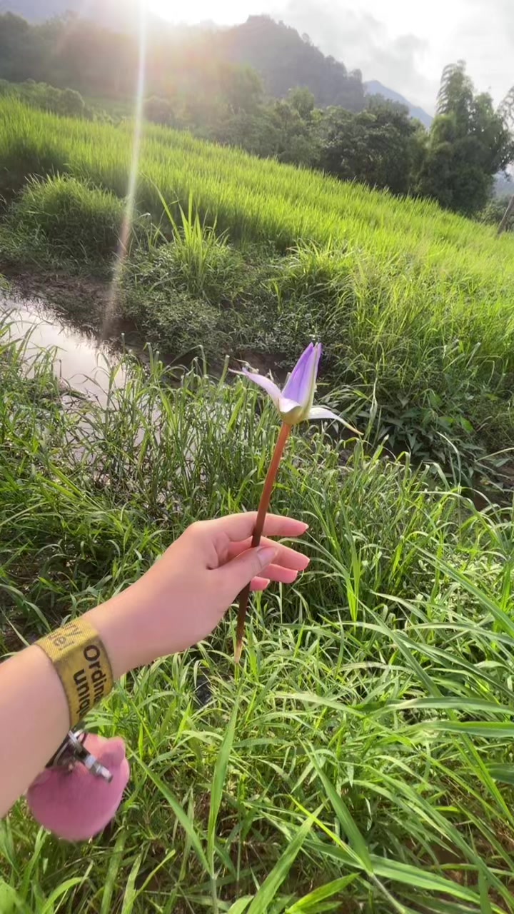 @Namwarn xaiyasouk
