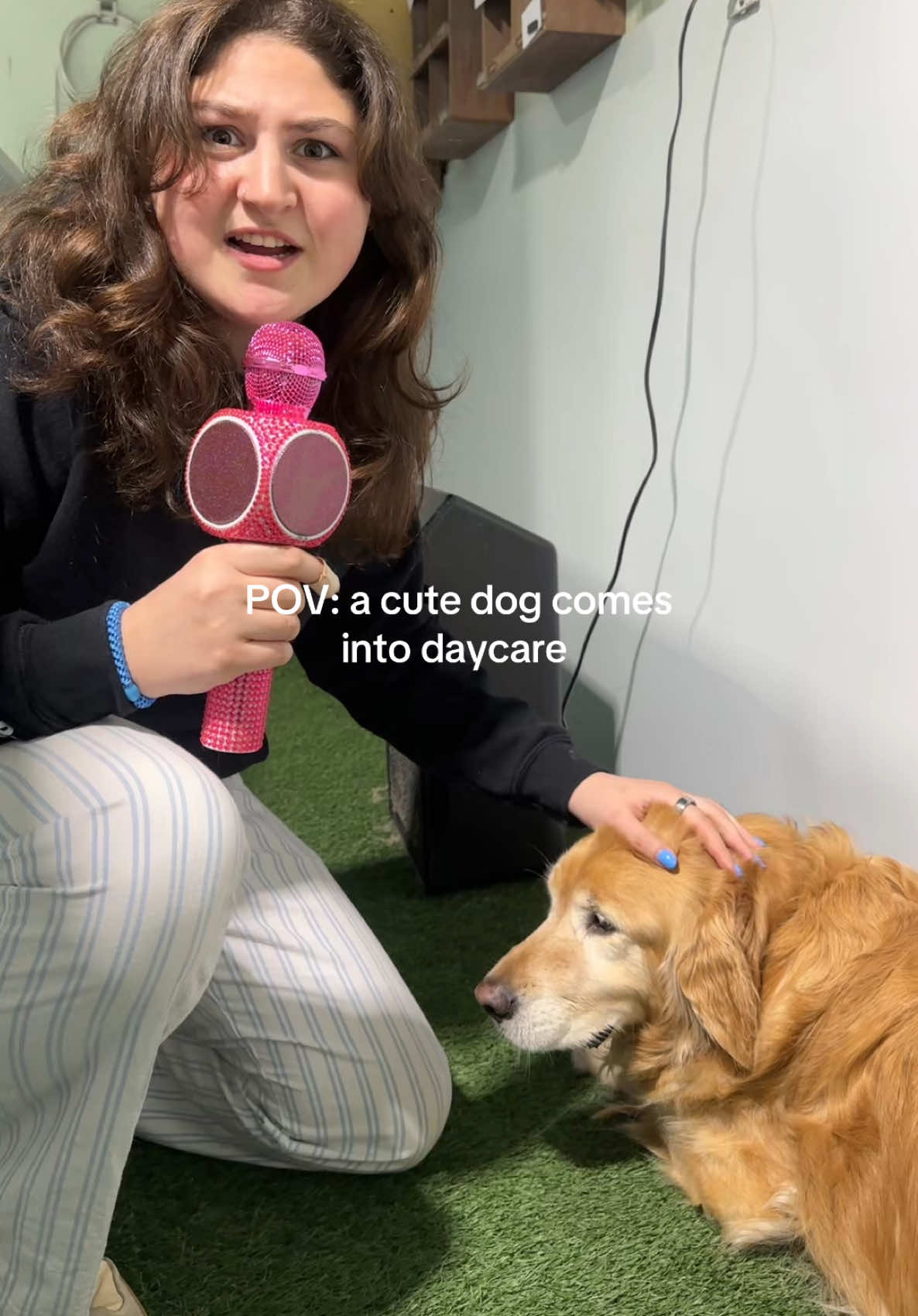 @Camp Canine