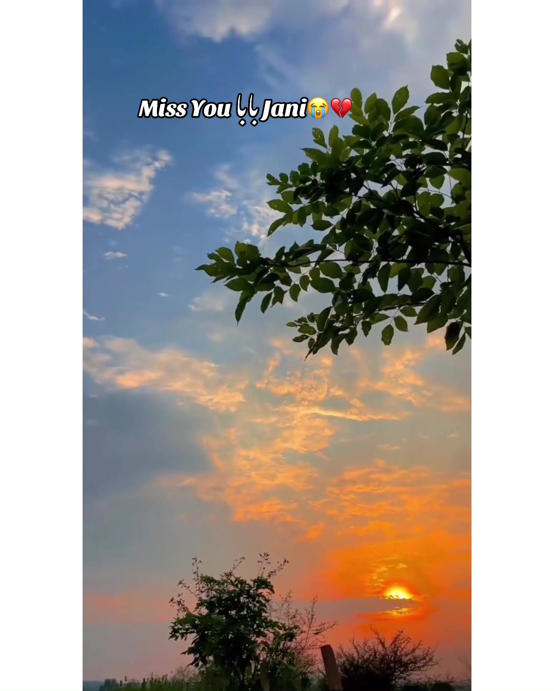 @⚜️𝐊𝐇𝐎𝐊𝐇𝐀𝐑❤️🩹