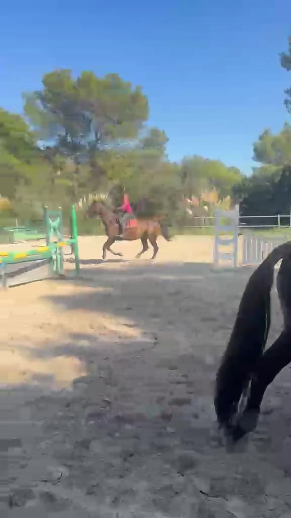 @haras de castille