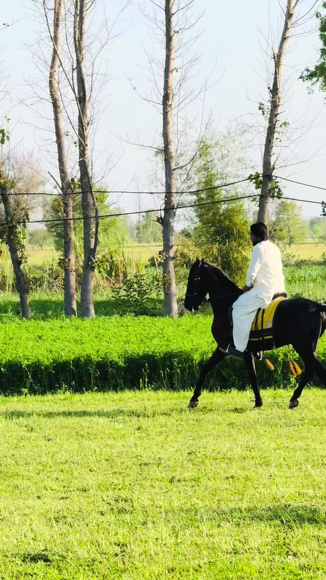 @مہر عبدالرحمن ڈاہر⚜️