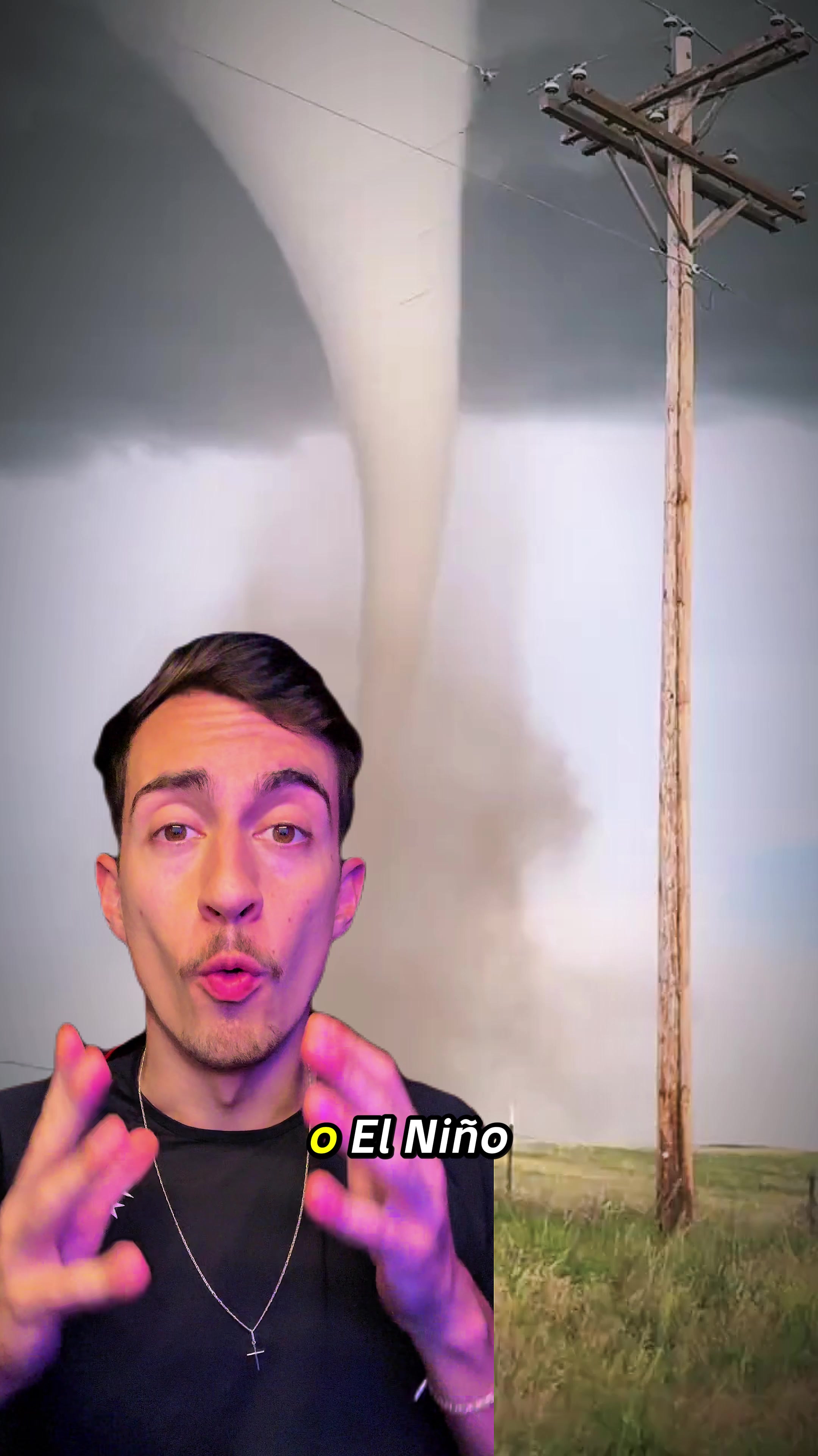 @altmannreact