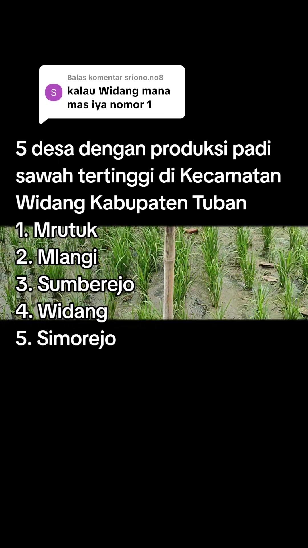 @ahmad mundir