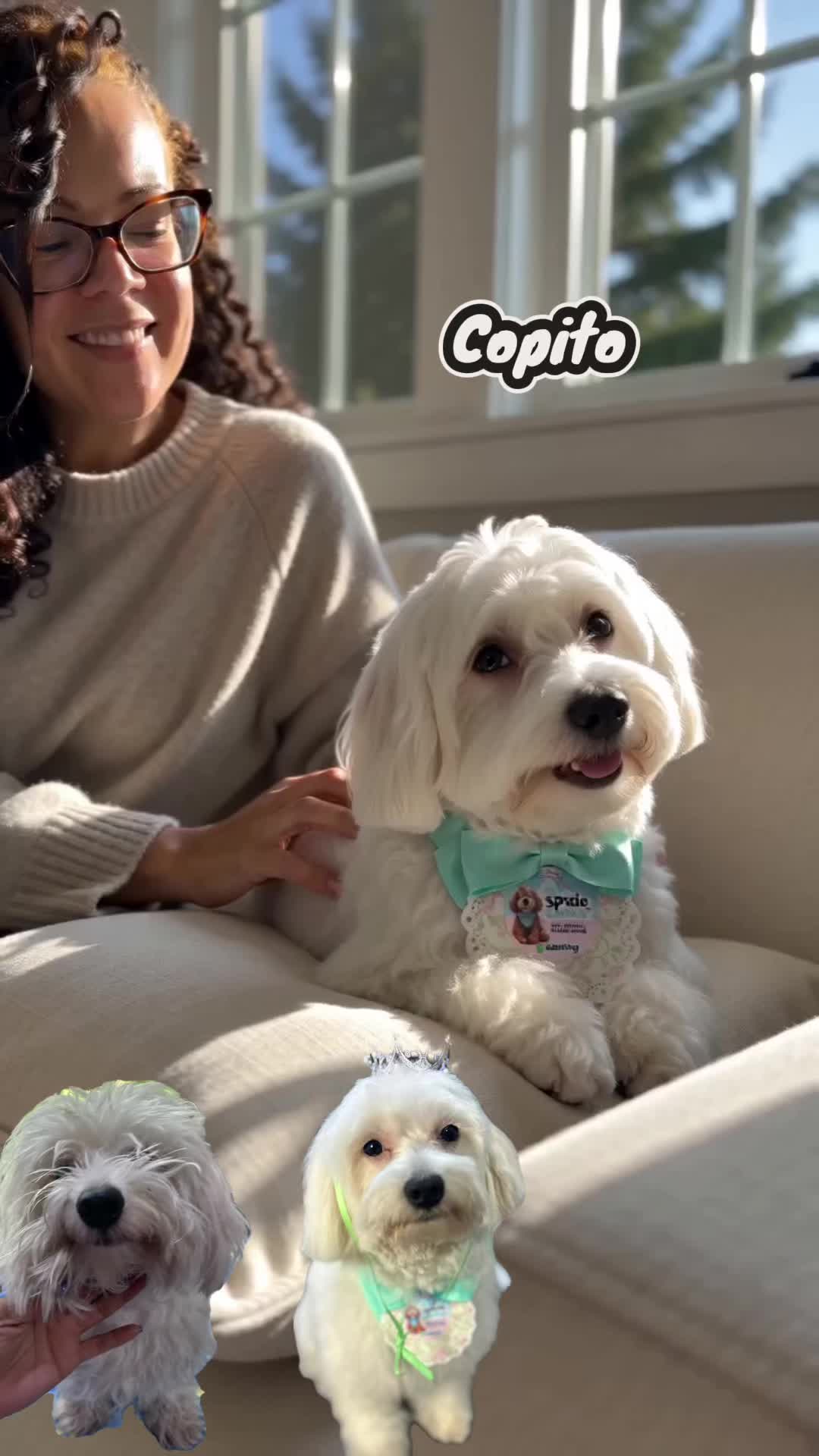 @Spaciocaninove