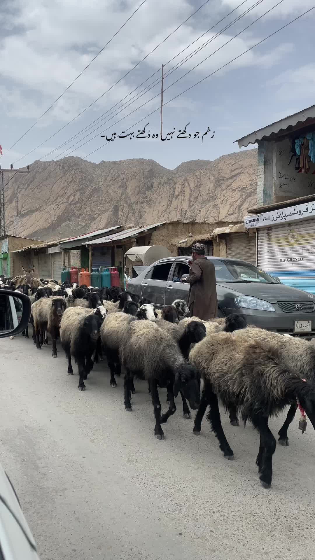 @کمیل🚩