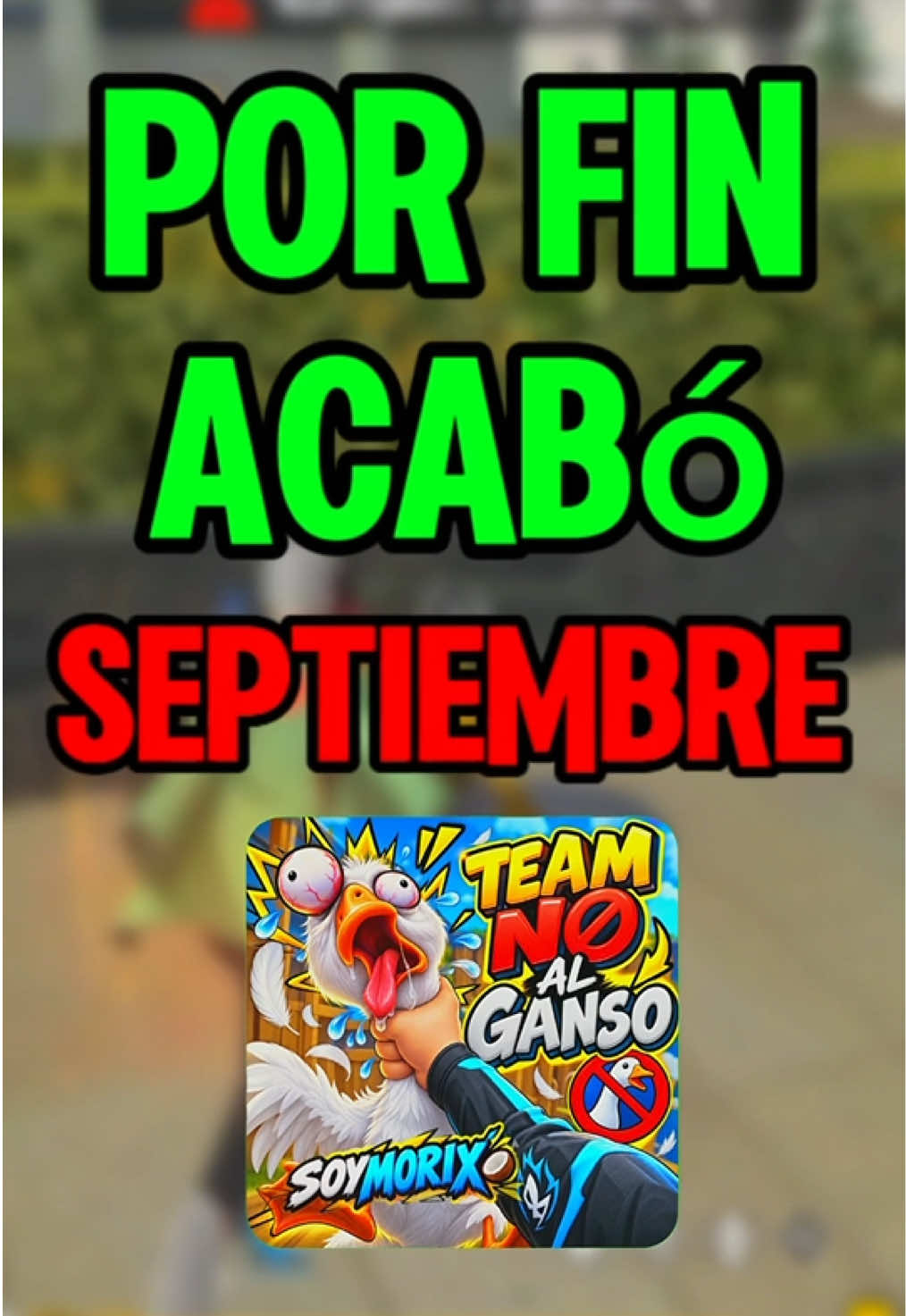 @SOY MORIX🥥