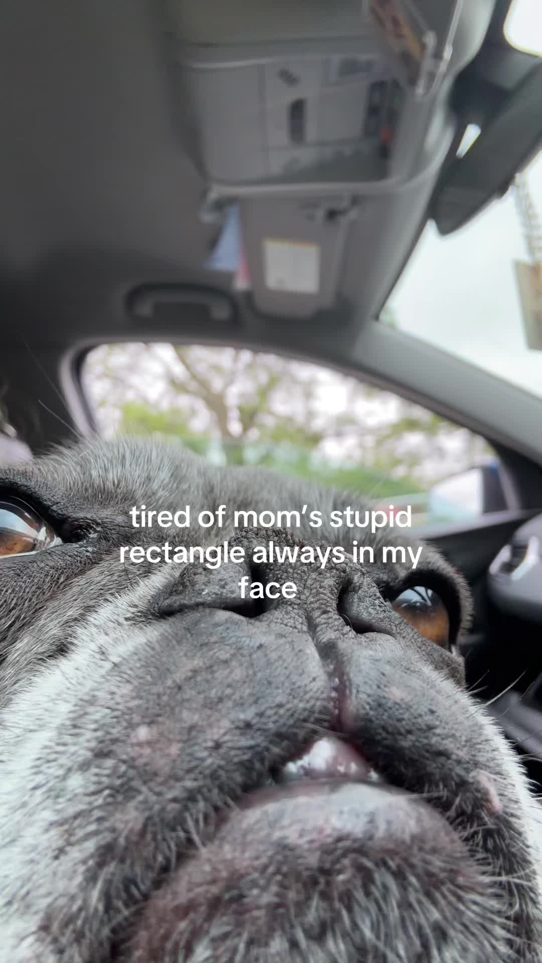 @miabean