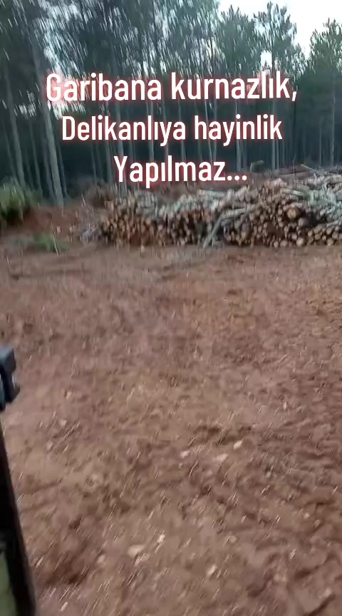 @SEDAT ALTIN
