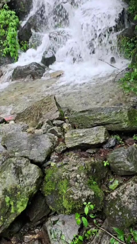 @alokrajneupane224