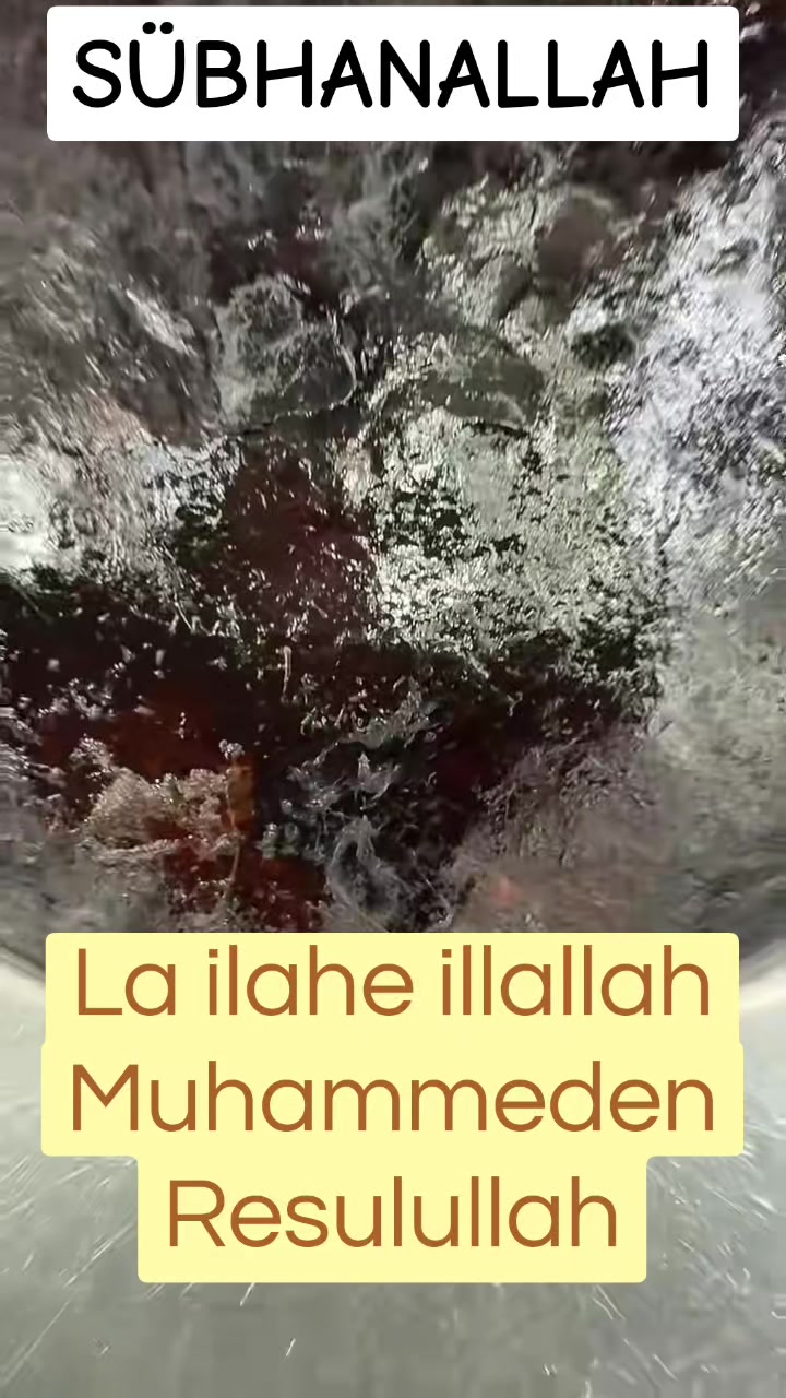 @&Acirc;bH&acirc;Z