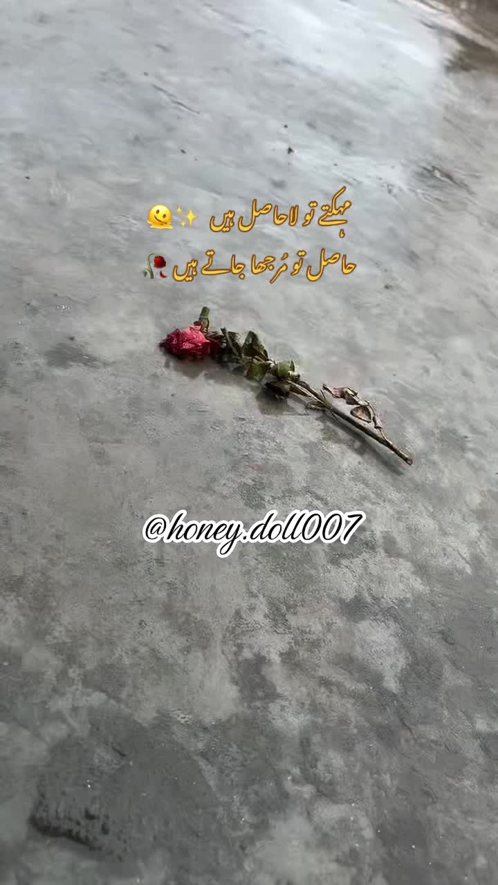 @HØÑÊY DØLL 😍