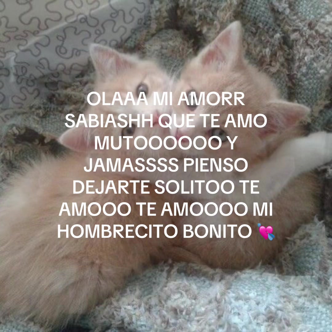 @yramyoliver
