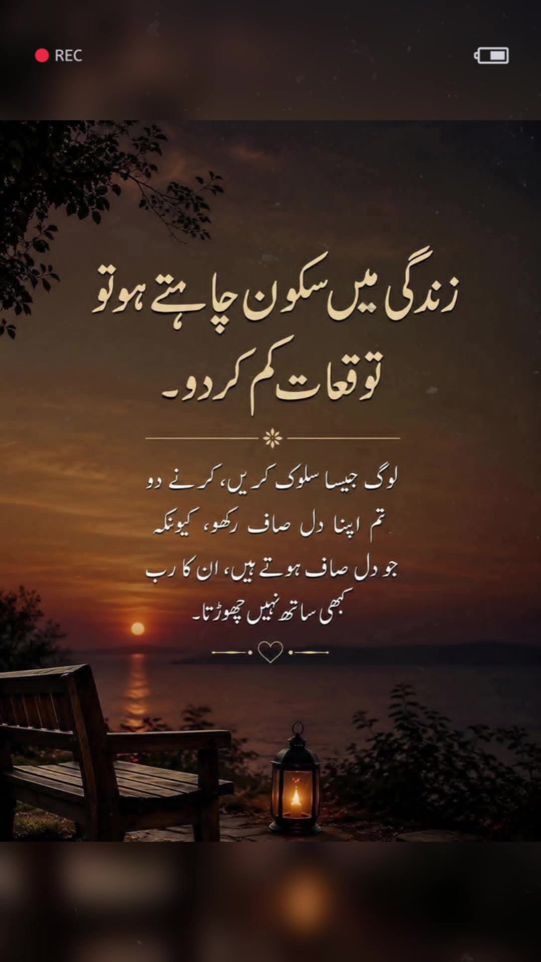 @❦︎❥︎mehar✰༆ ᶻᵘᵇᵃⁱʳ ༎ຶ✰