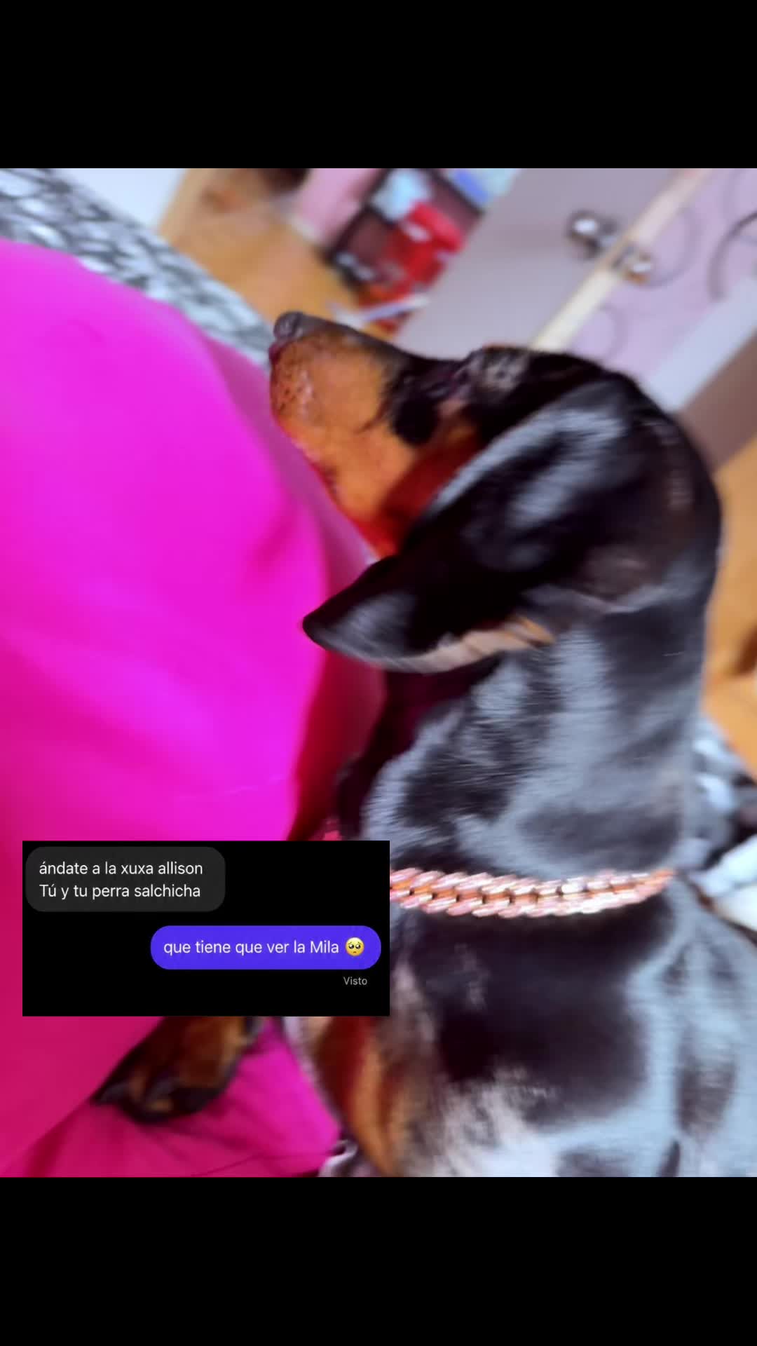 @𝑴𝒊𝒍𝒂 𝑴𝒊𝒍𝒂𝒏𝒆𝒔𝒂 🐾