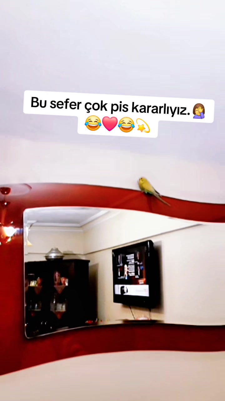 @AHDE☝️VEFA🕊🌹