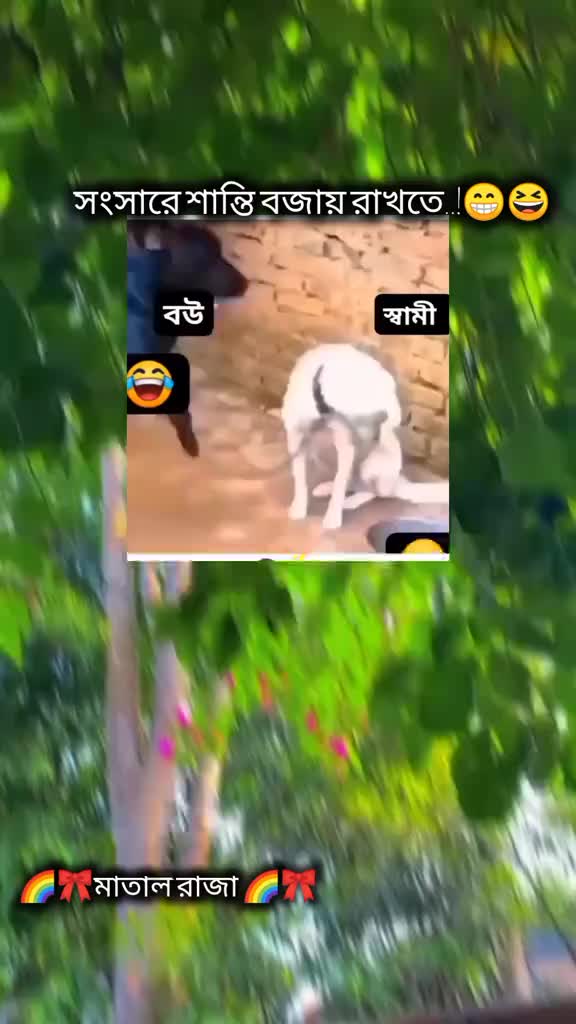 @๐๐๐๐จ๐_๐ข๐ค๐ฃ๐๐