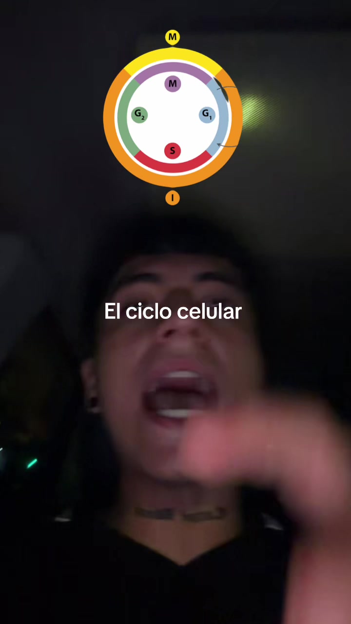 @ENDOBOY